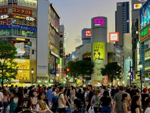 100人に聞いた「インバウンド観光客に“やめてほしい”こと」、ゴミやタバコのポイ捨てよりも迷惑な驚き行為は【トップ3】
