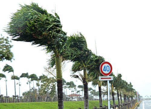 台風シーズン到来　沖縄の「台風あるあると対策」に学ぶ災害時の心構えとは