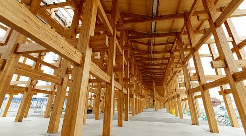 万博会場に虫が大量発生、アース製薬に援助要請も「費用は想像を絶する」害虫駆除業者が指摘、死骸で“アレルギー被害”可能性も