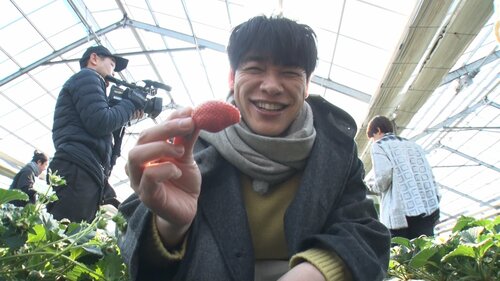「好きな朝の情報番組」ランキング、『ラヴィット！』を抑えた