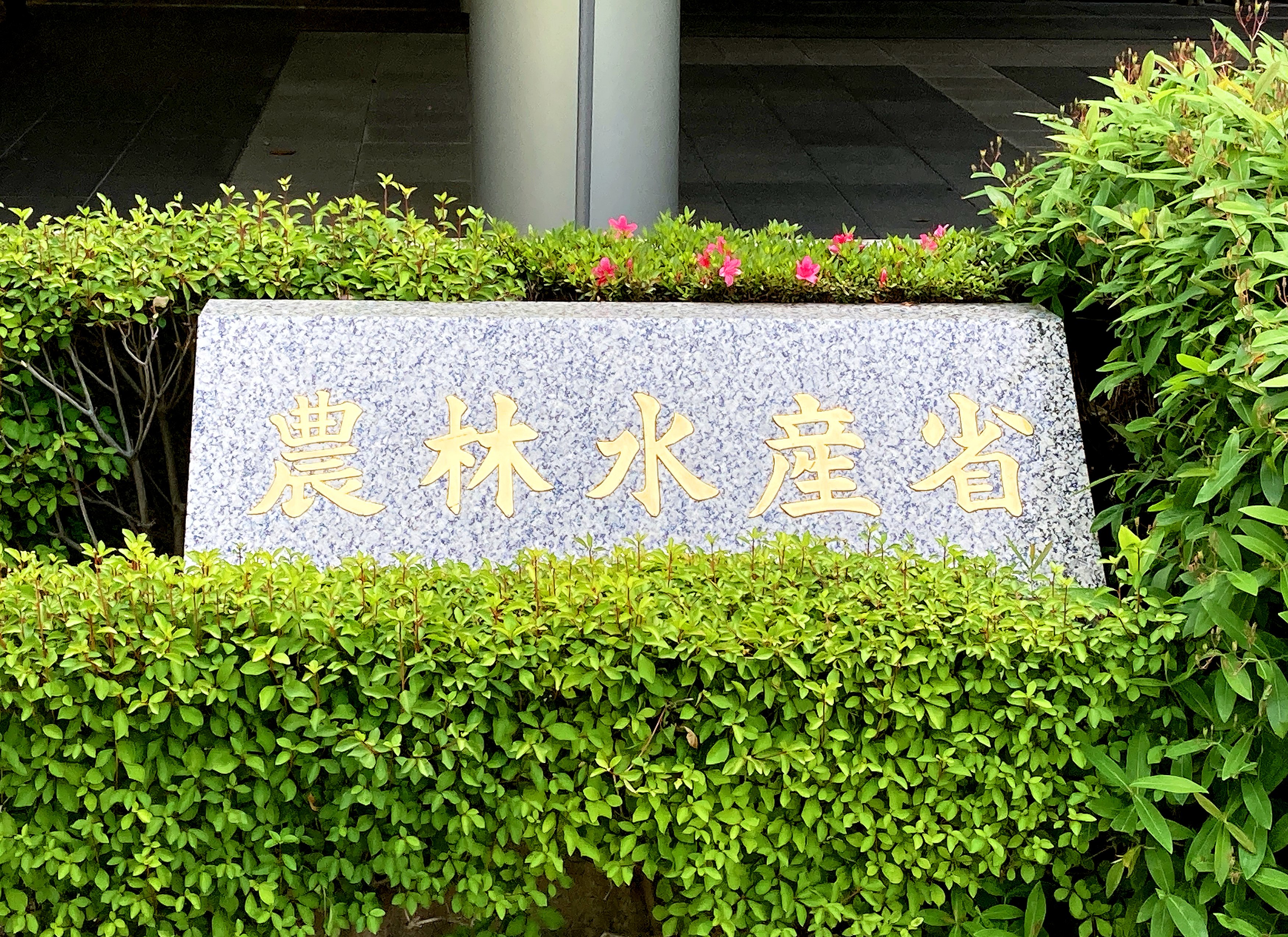 農水省職員の“1日に密着”動画が「ブラック」と話題　広報担当者が明かした動画公開の意図と業務状況「最も忙しい1日」