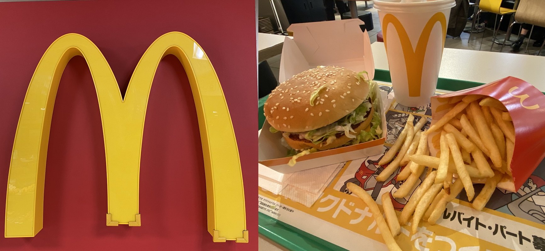 「マクドナルドはご馳走」「風呂には塩と日本酒を入れる」それでも陰謀論にハマった彼女との生活が楽しかった理由