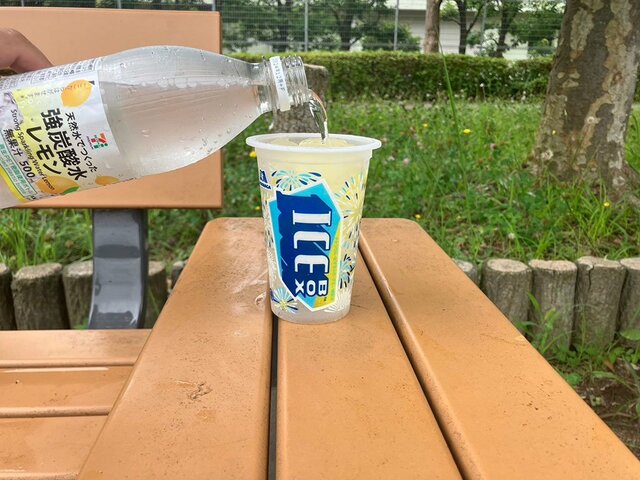 低カロリーでも絶品な炭酸水アレンジ!(※撮影/編集部)