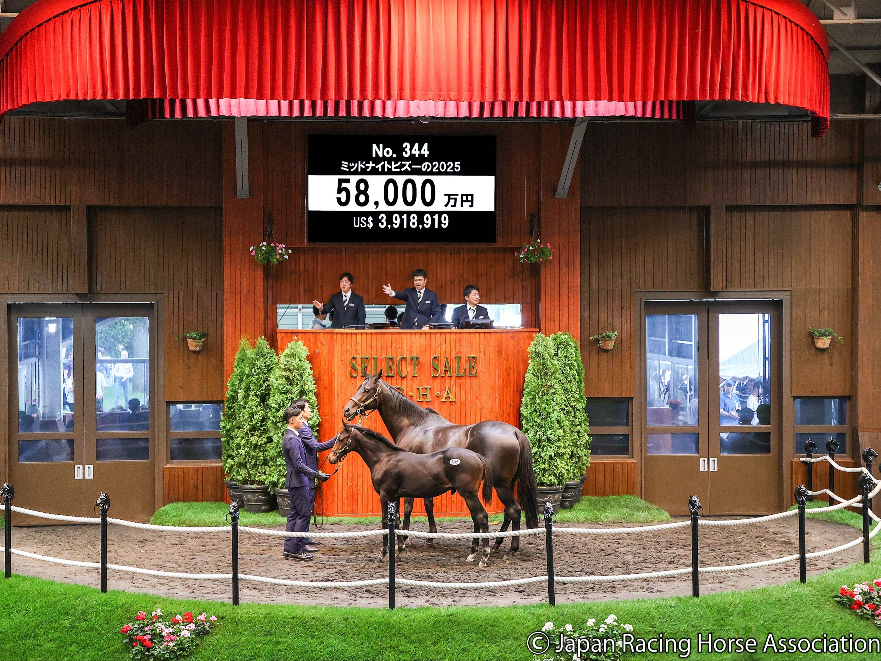 【値下対応可☻コメント欄にて】武豊ジョッキー、スポーツ紙記事まとめ 値下対応可☻コメント欄にて】武豊ジョッキー、スポーツ紙記事まとめ